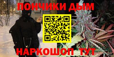крисы Малгобек