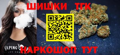 крисы Малгобек