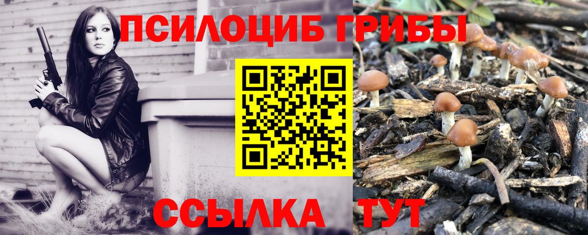 Галлюциногенные грибы Magic Shrooms Урус-Мартан